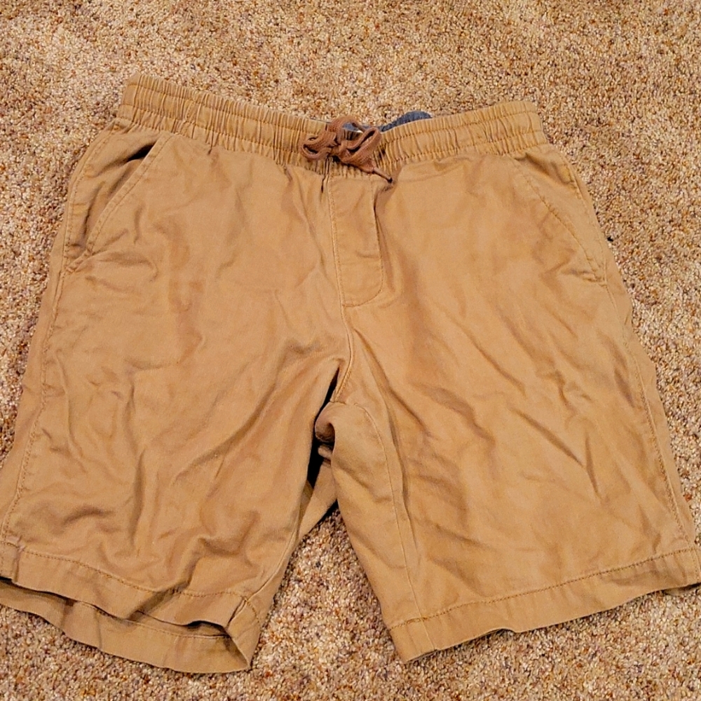 Sonoma Shorts